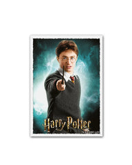 Dragon Shield - Harry Potter Matte Art Standard Sleeves