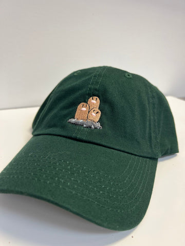 Dark Green Handmade Pokémon Hat - Awesome Deals Deluxe