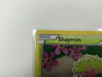 Pokemon Shaymin XY188 Rare Cosmic Holo Pattern XY Series Promo - Awesome Deals Deluxe